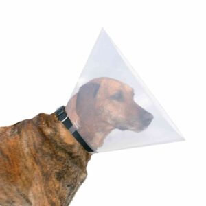 Illustration pour Collerette pour chien en plastique rigide